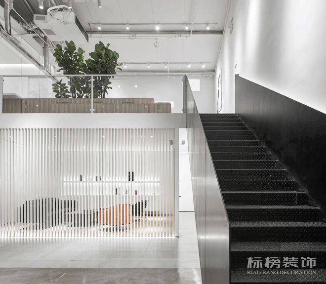 办公室植物摆放植物有哪些，怎么摆放比较好？